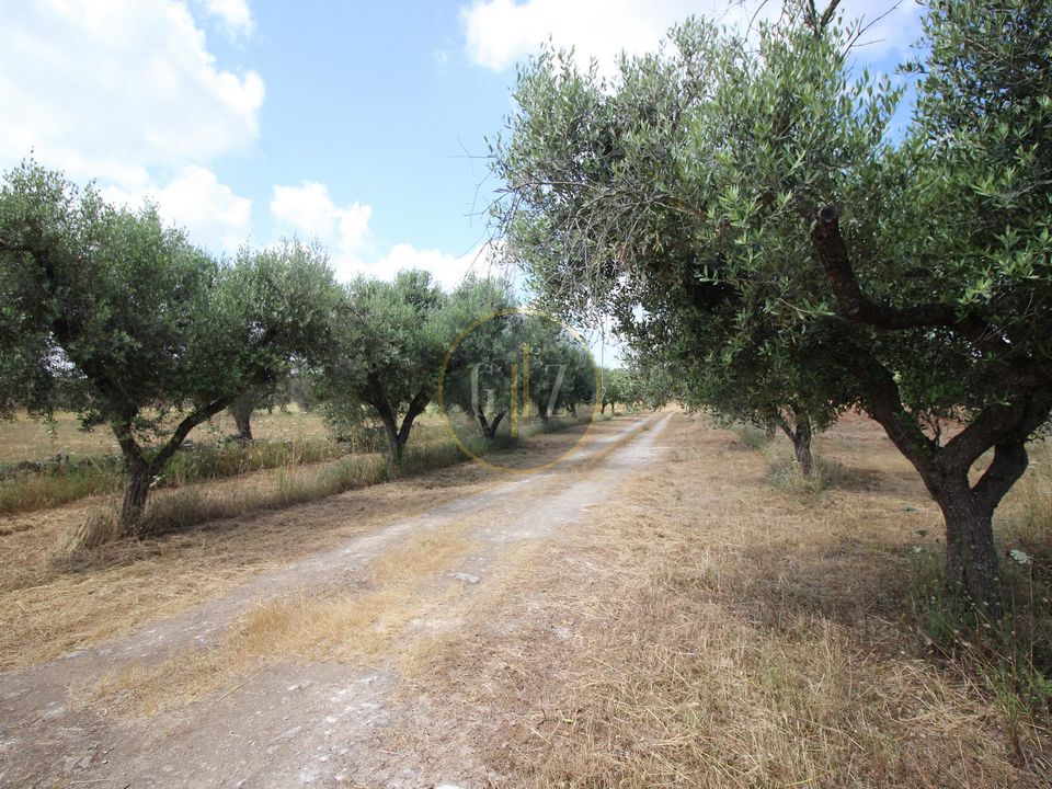 Herregård i Calimera, Lecce - bilde 2